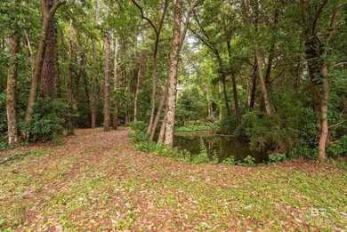 There's a stretch of shoreline in Fairhope where the land opens - photo 8
