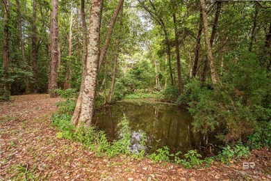 There's a stretch of shoreline in Fairhope where the land opens - photo 10