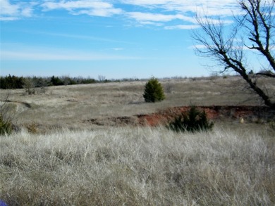 (private lake, pond, creek) Acreage For Sale in Cashion Oklahoma