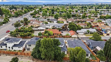 A rare opportunity to own a brand-new home in Fremont's - photo 45
