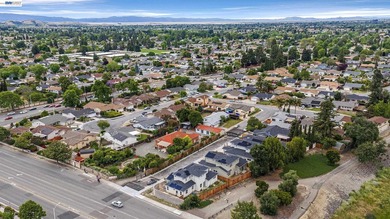 A rare opportunity to own a brand-new home in Fremont's - photo 49