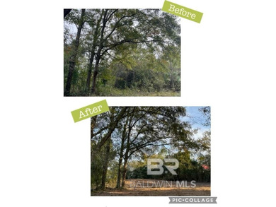Build your dream home on this beautiful cleared, pond front lot - photo 3