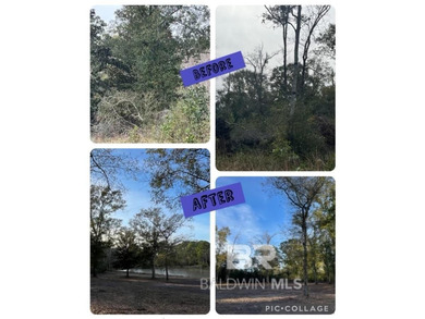 Build your dream home on this beautiful cleared, pond front lot - photo 4