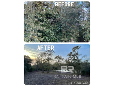 Build your dream home on this beautiful cleared, pond front lot - photo 5