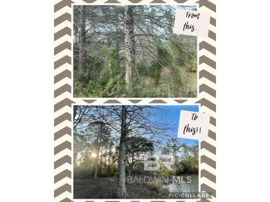 Build your dream home on this beautiful cleared, pond front lot - photo 6