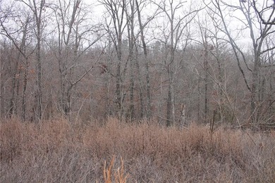 Lake Loch Lomond Lot For Sale in Bella Vista Arkansas