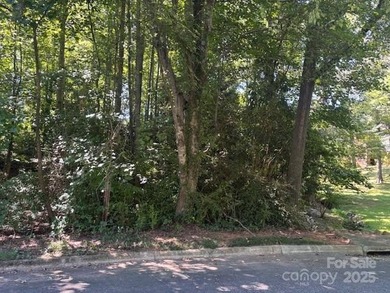Lake Hickory Lot For Sale in Hickory North Carolina