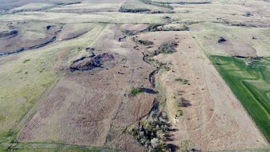 If you're searching for a secluded, manageable-sized hunting - photo 36