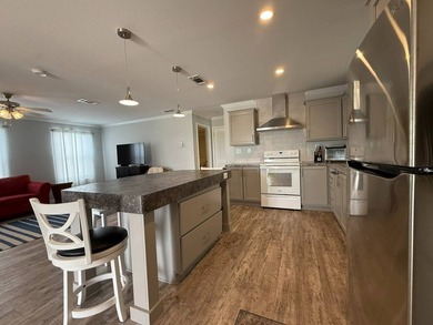 Welcome to this absolutely stunning 2020 Palm Harbor home - photo 8