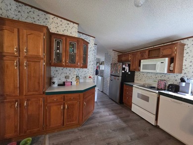 Welcome home to this inviting Fruitland/Crescent City home - photo 3
