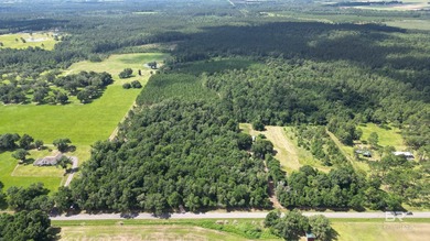 (private lake, pond, coastal) Acreage For Sale in Robertsdale Alabama