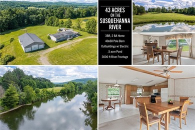 Forty-three acres on the Susquehanna River in Otego-Unadilla, NY - photo 1