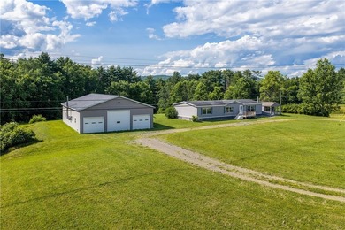 Forty-three acres on the Susquehanna River in Otego-Unadilla, NY - photo 7