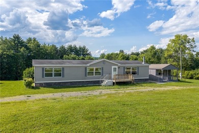 Forty-three acres on the Susquehanna River in Otego-Unadilla, NY - photo 9