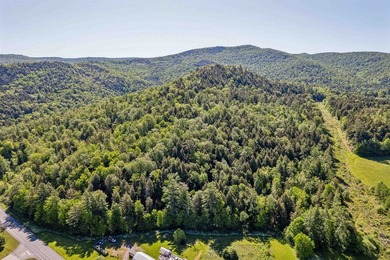 This former family farm is zoned as a commercial property in - photo 13
