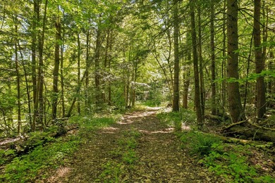 This former family farm is zoned as a commercial property in - photo 17