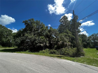 Northport Waterway Lakes and Canals Lot For Sale in North Port Florida