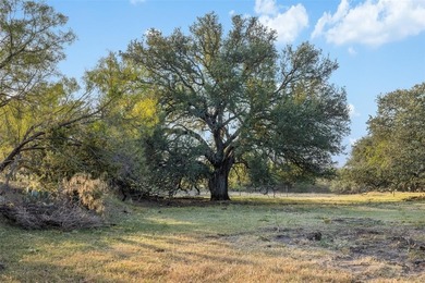 (private lake, pond, creek) Acreage For Sale in Rochelle Texas
