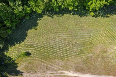 This former family farm is zoned as a commercial property in - photo 23