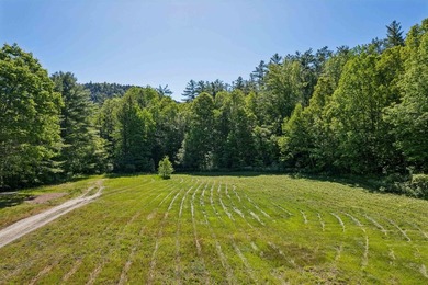 This former family farm is zoned as a commercial property in - photo 27