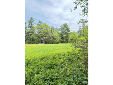 This former family farm is zoned as a commercial property in - photo 28