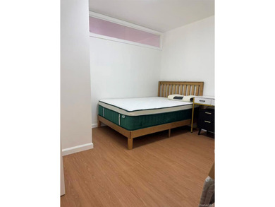 This beautifully renovated condo in the heart of Flushing offers - photo 5