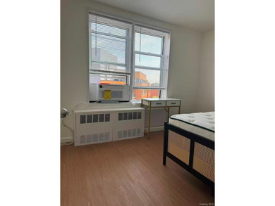 This beautifully renovated condo in the heart of Flushing offers - photo 8