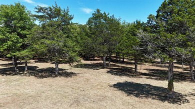 Welcome to seclusion. This beautiful 4 acre property sits at the - photo 6