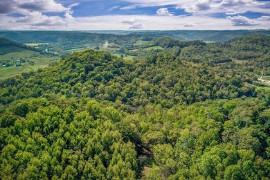 Fishing & Hunting Camp with Mountain Views and River Frontage - photo 11