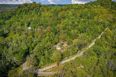 Fishing & Hunting Camp with Mountain Views and River Frontage - photo 19