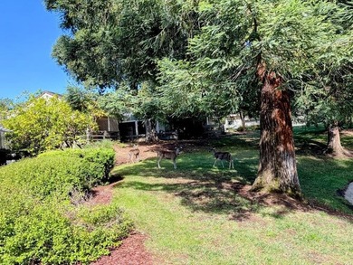 Rare single-level townhouse with no residence above or below in - photo 39