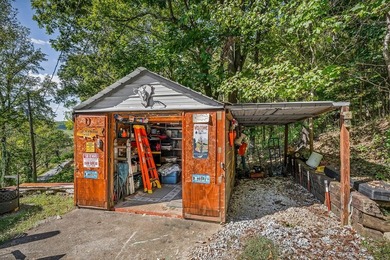 Fishing & Hunting Camp with Mountain Views and River Frontage - photo 39