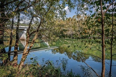 Fishing & Hunting Camp with Mountain Views and River Frontage - photo 50