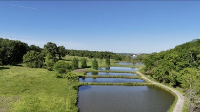 Lake Commercial For Sale in Osage Beach, Missouri