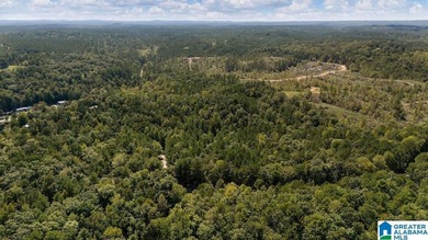 Wooded land, close to Grand Point on Lay - photo 1