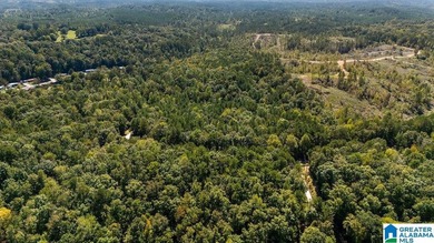 Wooded land, close to Grand Point on Lay - photo 2