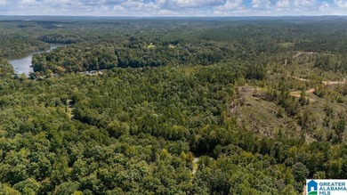 Wooded land, close to Grand Point on Lay - photo 3