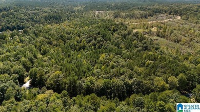 Wooded land, close to Grand Point on Lay - photo 4