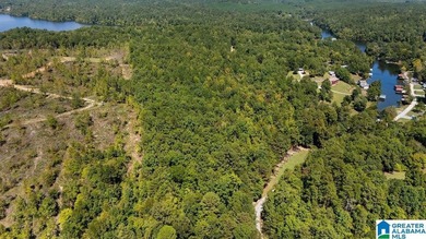Wooded land, close to Grand Point on Lay - photo 5
