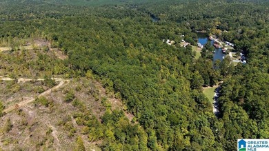 Wooded land, close to Grand Point on Lay - photo 6