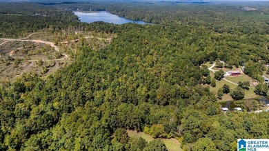 Wooded land, close to Grand Point on Lay - photo 7