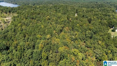 Wooded land, close to Grand Point on Lay - photo 8