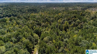 Wooded land, close to Grand Point on Lay - photo 9