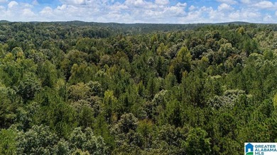 Wooded land, close to Grand Point on Lay - photo 10