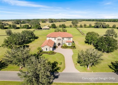 (private lake, pond, creek) Lot For Sale in Dunnellon Florida