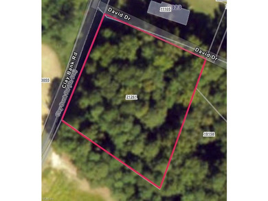 Lovely Wooded 1 Acre Lot on Clay Bank Rd. in Mid County - photo 3