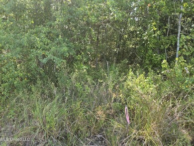 Highway 49 lots just north of Lowes, 84 Lumber and Hoods. Across - photo 5