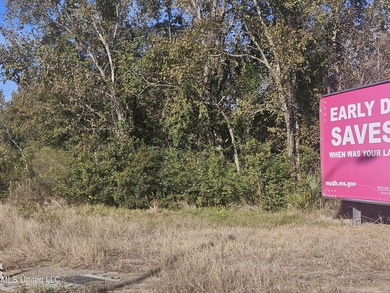 Highway 49 lots just north of Lowes, 84 Lumber and Hoods. Across - photo 6