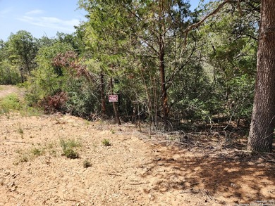 Opportunity awaits in Bastrop-now with paved road access! Don't - photo 3
