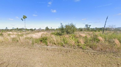 Lake Weohyakapka Lot For Sale in Indian Lake Estates Florida